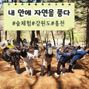 [내 안에 자연을 품다] 숲체험ㅣ강원도ㅣ홍천군