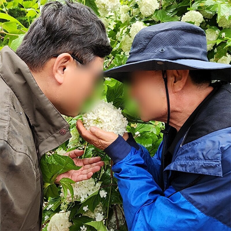 약리원,[내 안에 자연을 품다] 숲체험ㅣ강원도ㅣ홍천군
